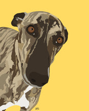 Load image into Gallery viewer, Pet Portrait | Giclee Print
